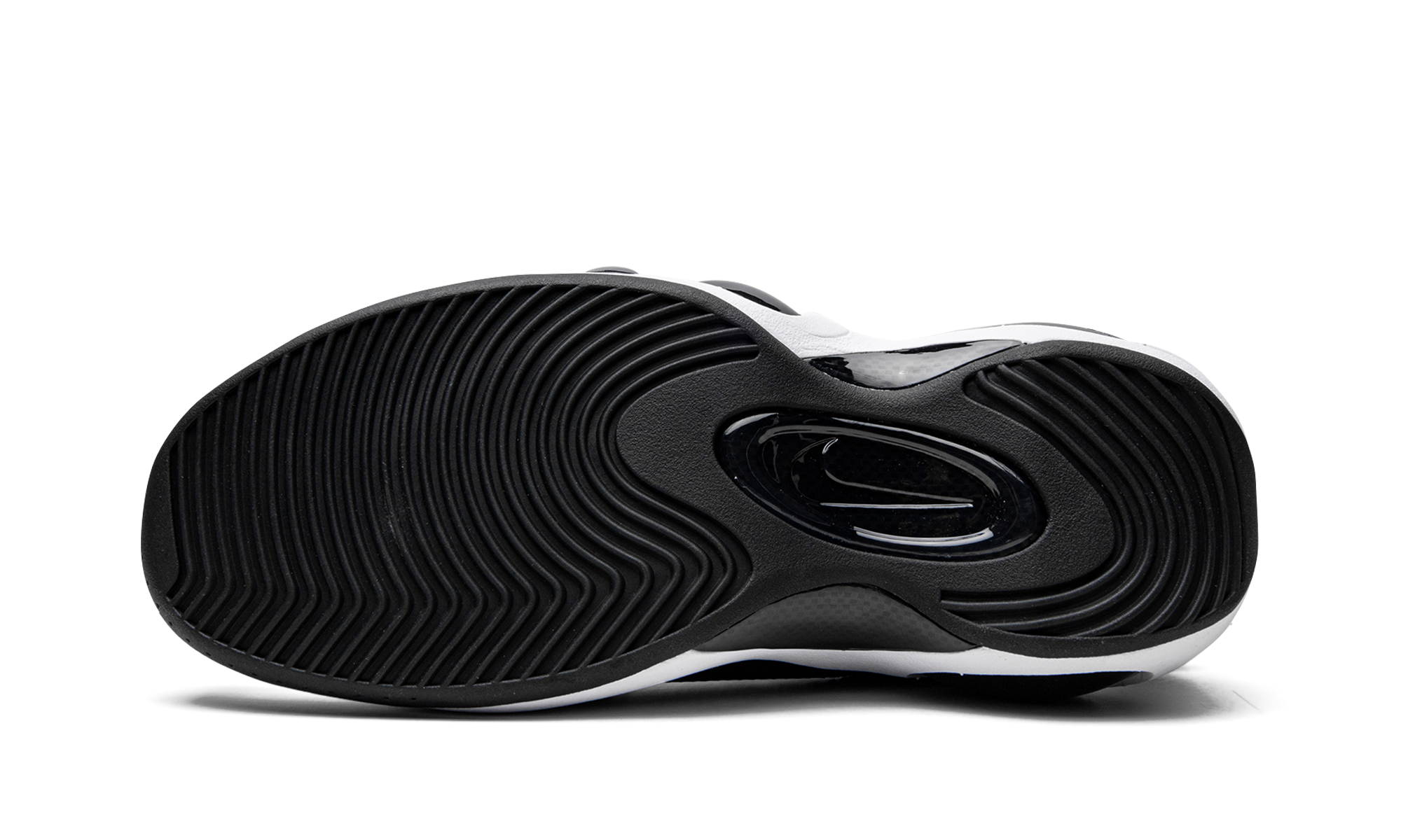 Air Zoom Flight 95  Photo Blue