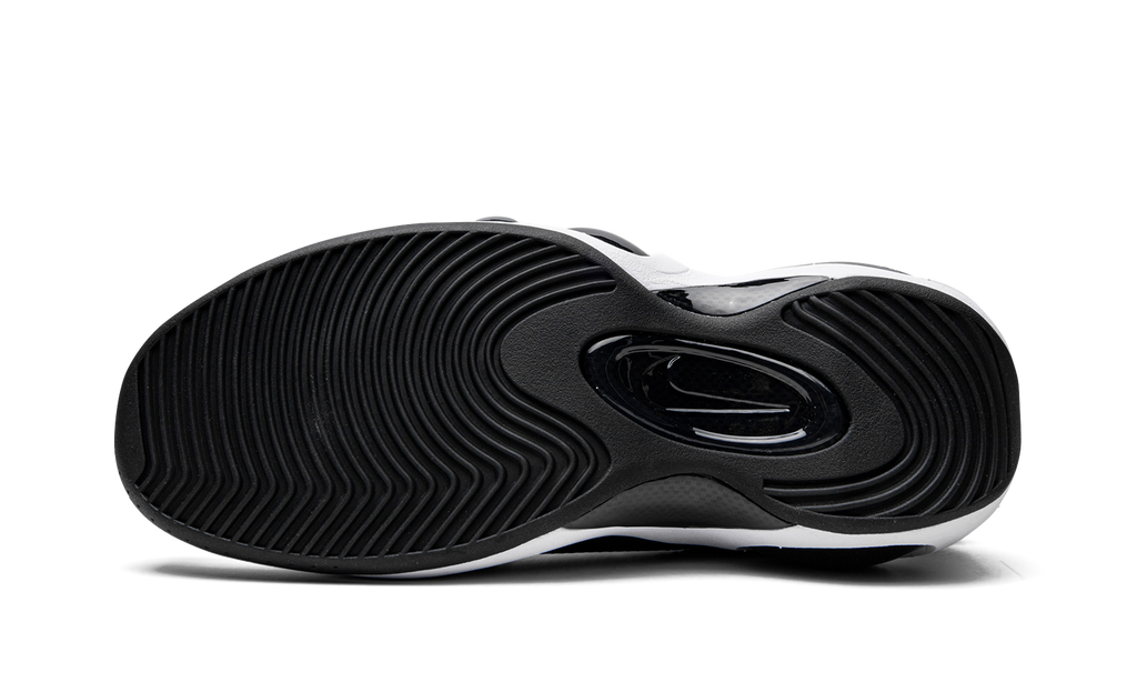Air Zoom Flight 95  Photo Blue